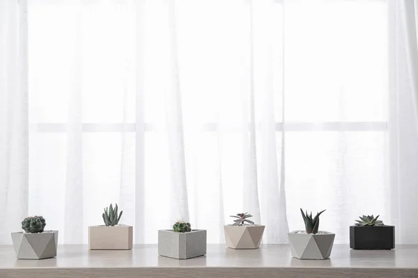 Komposisi dengan tanaman rumah yang berbeda dalam pot pada isian jendela, ruang untuk teks — Stok Foto