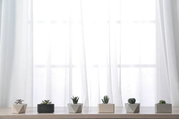 Diferentes plantas en macetas en el alféizar de la ventana, espacio para el texto. Decoración del hogar — Foto de Stock