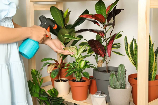 Mulher pulverizando plantas interiores perto da parede em casa, close-up — Fotografia de Stock