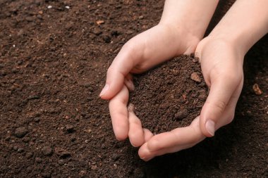 Woman holding pile of soil above ground, closeup. Space for text