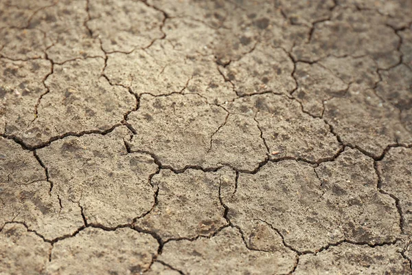 Dry textured ground surface as background, closeup. Thirsty soil