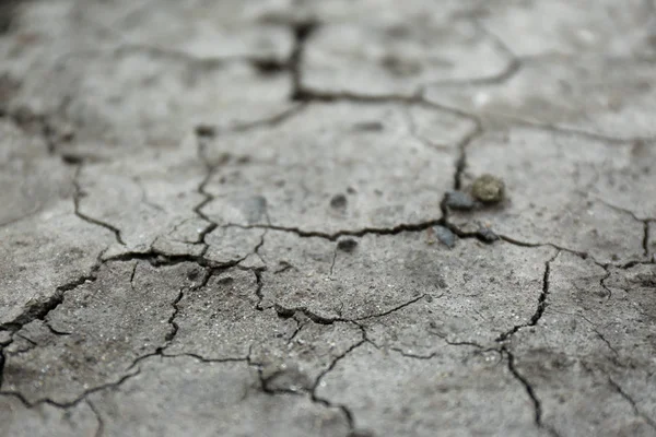 Dry textured ground surface as background, closeup. Thirsty soil