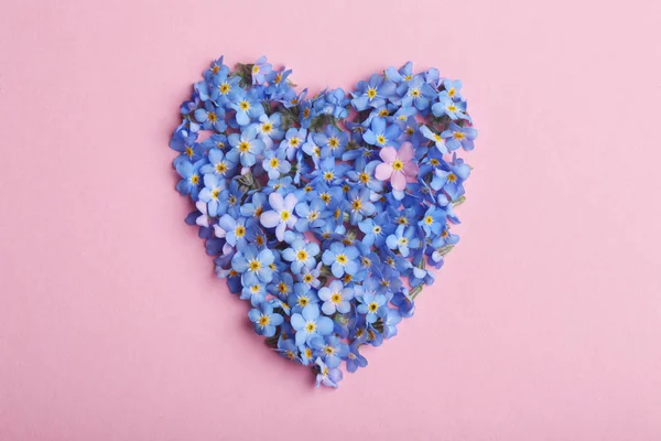 Heart made of amazing spring forget-me-not flowers on color background, top view — Stok Foto