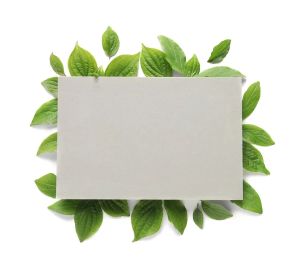 Kartu kosong dan daun hijau musim semi dengan latar belakang putih, tampilan atas. Ruang untuk teks — Stok Foto