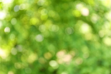 Soyut yeşil arkaplanın bulanık görünümü. Bokeh etkisi