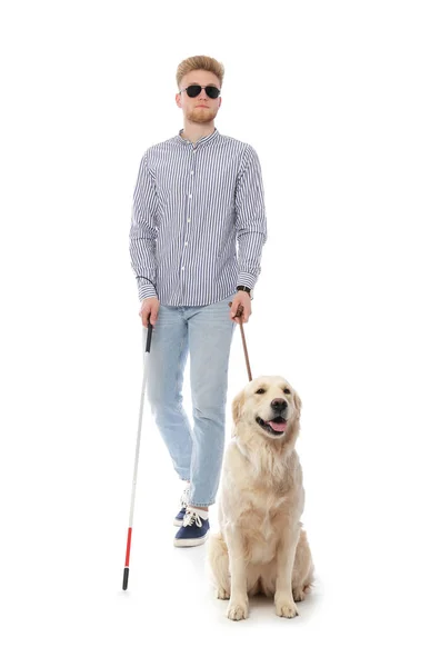 Persona ciega con bastón largo y perro guía sobre fondo blanco — Foto de Stock