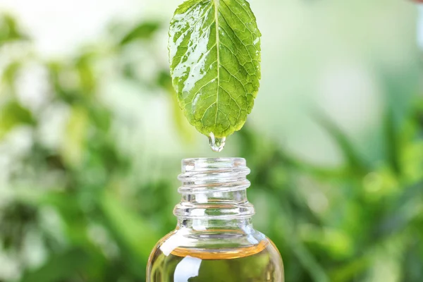 Ätherisches Öl tropft von Minzblatt in Glasflasche auf verschwommenem Hintergrund, Nahaufnahme — Stockfoto