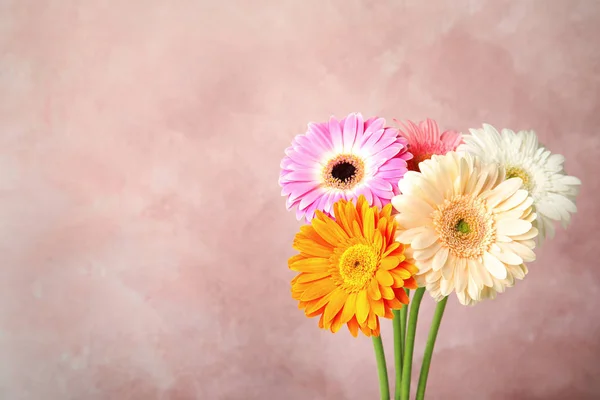 Csokor gyönyörű fényes Gerbera virágok színes háttér. Szóköz a szöveghez — Stock Fotó