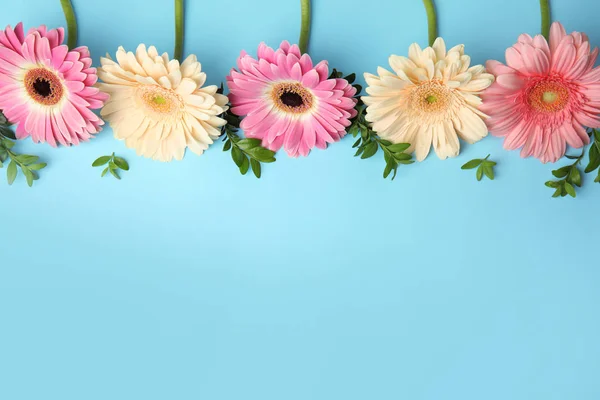 Composición plana con hermosas flores de gerberas brillantes sobre fondo de color. Espacio para texto — Foto de Stock
