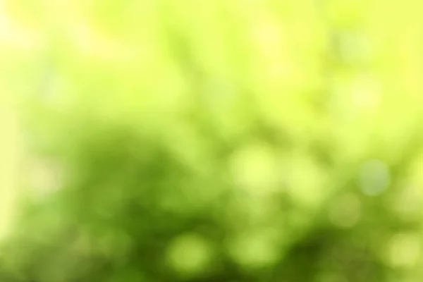 추상적 인 녹색 배경에 대한 흐릿 한 시각. 보케 효과 — 스톡 사진