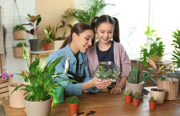 Mor och dotter tar hand om växter hemma — Stockfoto