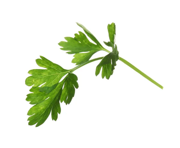 Fresh green organic parsley on white background — Stock Photo, Image