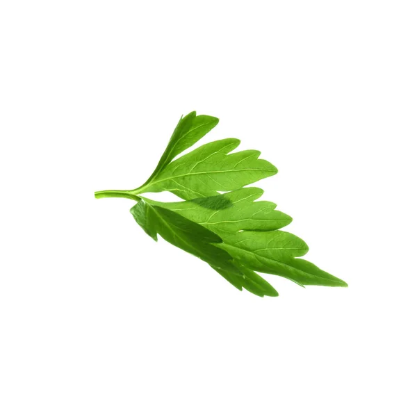 Frische grüne Bio-Petersilie auf weißem Hintergrund — Stockfoto