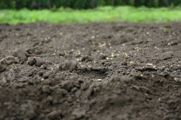Superficie texturizada del suelo como fondo, primer plano. Suelo fértil para la agricultura y la jardinería — Foto de Stock