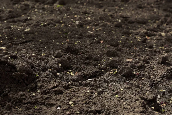 Teksturowana powierzchnia podłoża jako tło, zbliżenie. Żyzne gleby dla rolnictwa i ogrodnictwa — Zdjęcie stockowe
