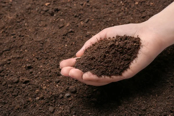 Woman holding pile of soil above ground, closeup. Space for text — Stock Photo, Image