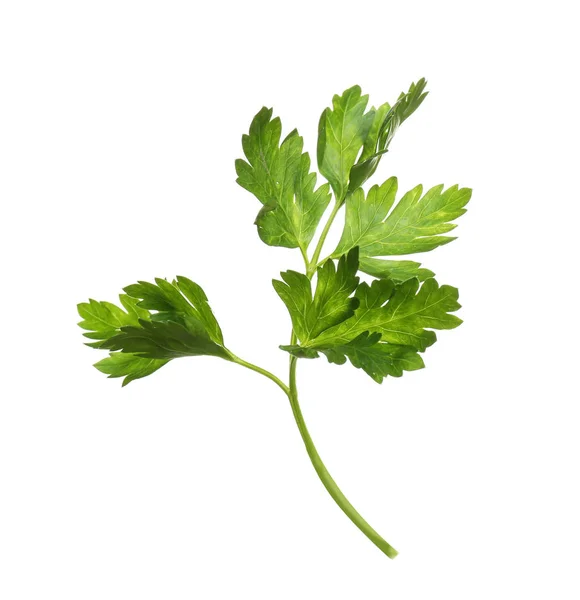 Fresh green organic parsley on white background — Stock Photo, Image