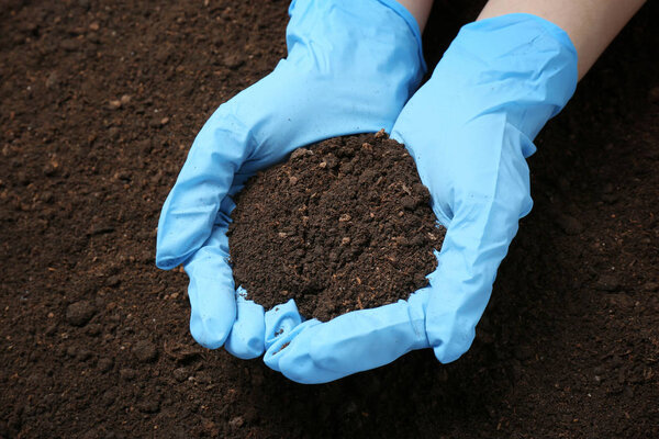 Scientist holding pile of soil above ground, closeup