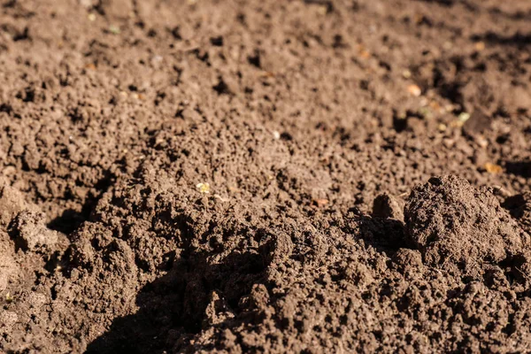Teksturowana powierzchnia podłoża jako tło, zbliżenie. Żyzne gleby — Zdjęcie stockowe