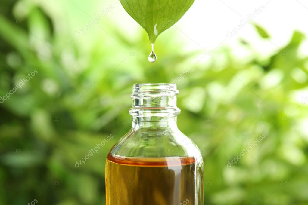 Essential oil dripping from leaf into glass bottle on blurred background