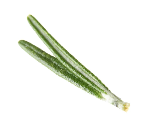 Feuilles de romarin vert frais sur fond blanc — Photo