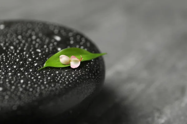 Wet black spa stone with petal and leaf on grey table, closeup. Space for text — 스톡 사진