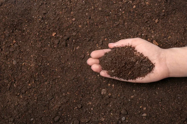 Woman holding pile of soil above ground, top view. Space for text — 스톡 사진