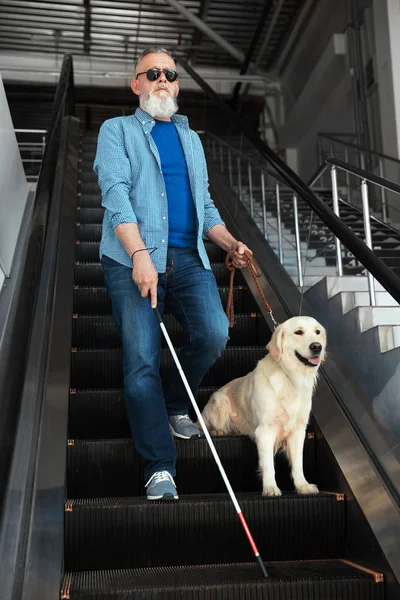 Persona ciega con bastón largo y perro guía en escaleras mecánicas en interiores — Foto de Stock