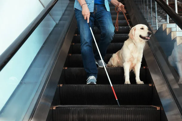 Persona ciega con bastón largo y perro guía en escaleras mecánicas en interiores — Foto de Stock