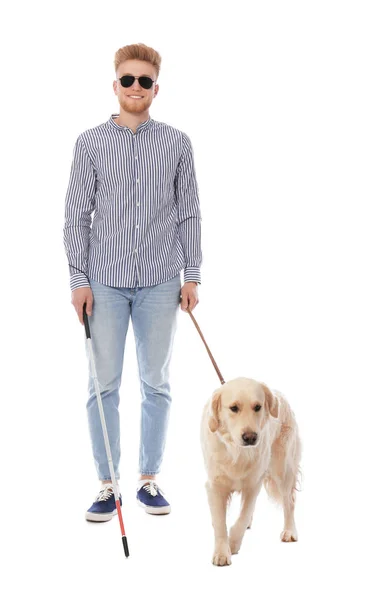 Blind person med lång käpp och ledarhund på vit bakgrund — Stockfoto