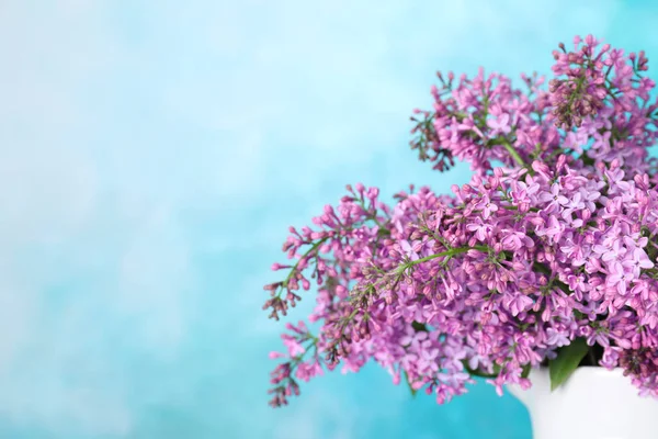 色の背景、クローズアップに対して磁器ピッチャーでライラックの花を開花。テキスト用のスペース — ストック写真
