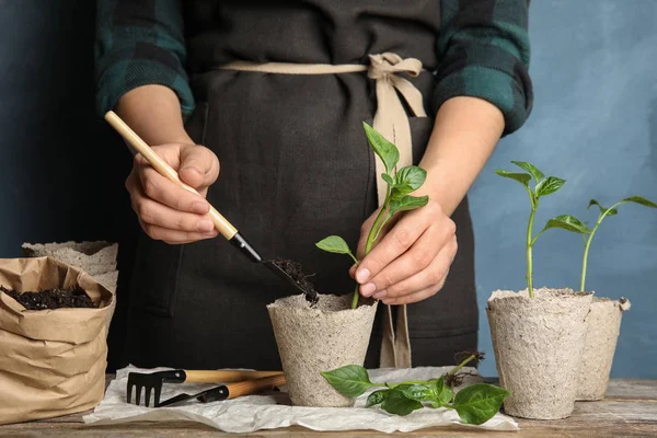 Vrouw planten zaailingen in turf potten op tafel tegen kleur achtergrond, closeup — Stockfoto