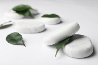 Beyaz arka planda spa taşları ve yeşil yapraklar. Metin için alan
