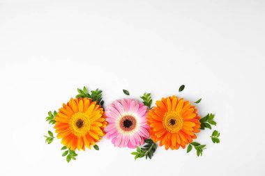 Beyaz arka plan üzerinde güzel parlak gerbera çiçekleri ile Düz yatıyordu kompozisyon. Metin için alan