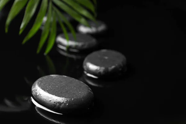 Composizione con pietre termali bagnate e foglia verde su sfondo nero. Spazio per testo — Foto Stock
