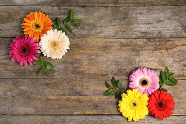 Lapos feküdt kompozíció gyönyörű fényes Gerbera virágok fa háttér, felülnézet. Szóköz a szöveghez — Stock Fotó