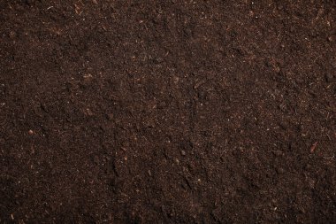 Arka plan olarak dokulu verimli toprak. Bahçe sezonu