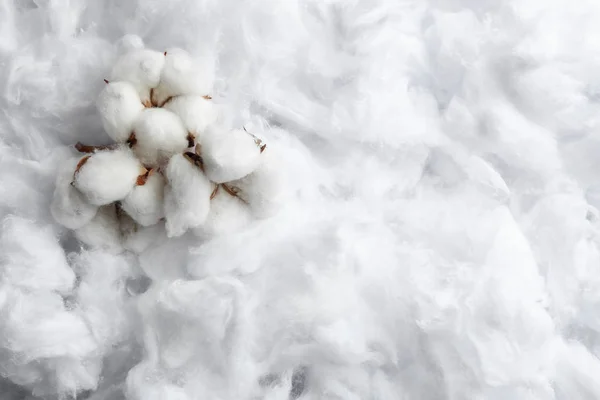 Fiori soffici e spazio per testo su cotone, vista dall'alto — Foto Stock