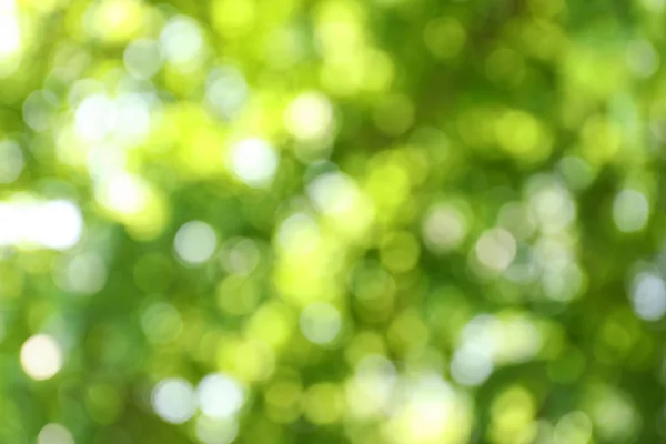 Wazig zicht op abstracte groene achtergrond. Bokeh-effect — Stockfoto