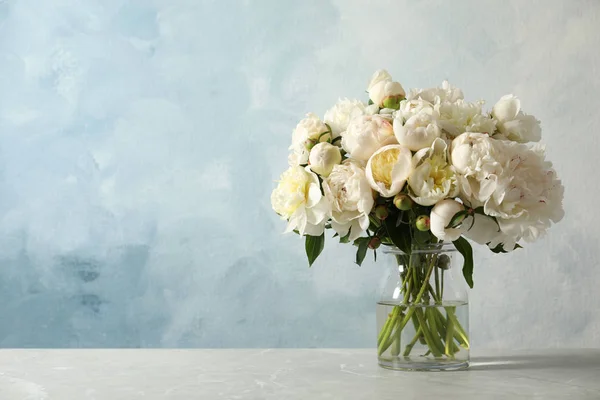 Peônias perfumadas em vaso na mesa contra fundo de cor, espaço para texto. Lindas flores de primavera — Fotografia de Stock