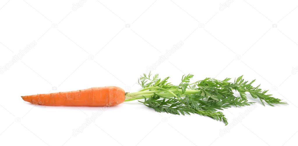 Fresh ripe carrot on white background. Wholesome vegetable