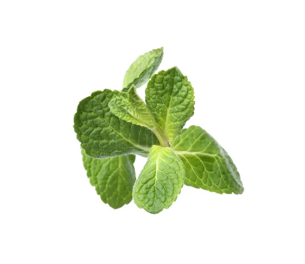 Twig of fresh mint isolated on white, top view — Zdjęcie stockowe