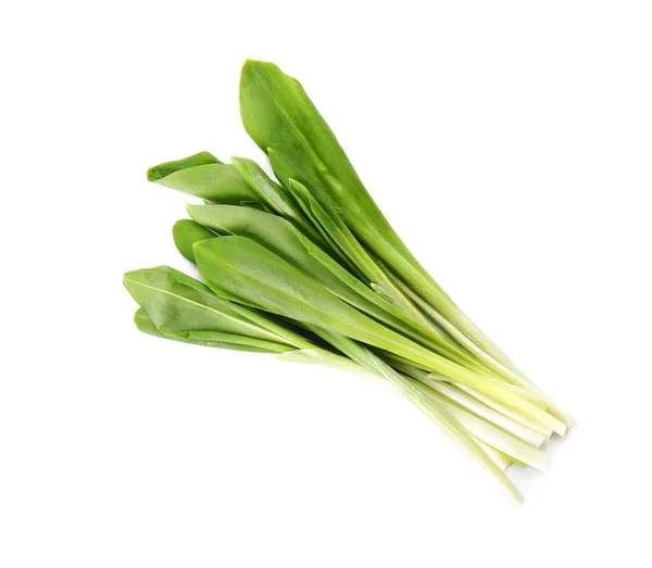 Fresh wild garlic or ramson isolated on white — Stock Photo, Image