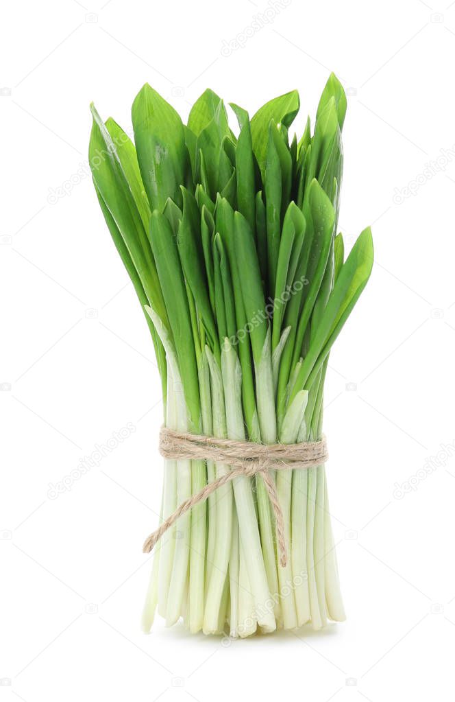 Bunch of wild garlic or ramson isolated on white