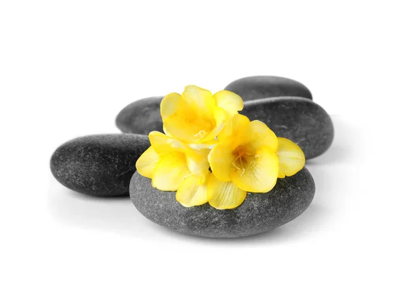 Wellness-Steine und Freesien-Blumen auf weißem Hintergrund — Stockfoto