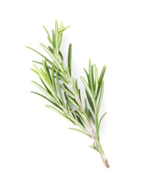 Beyaz arka plan üzerinde taze yeşil biberiye dal, üst görünüm