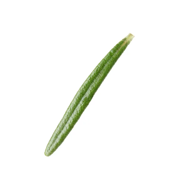 흰색 배경에 신선한 녹색 로즈마리 잎 — 스톡 사진