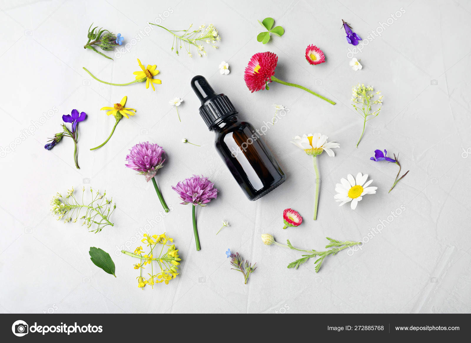 一瓶精油和灰色背景的不同花 平铺 图库照片 C Newafrica