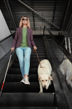 Yürüyen merdiven kapalı uzun kamışı ve kılavuz köpek ile kör kişi
