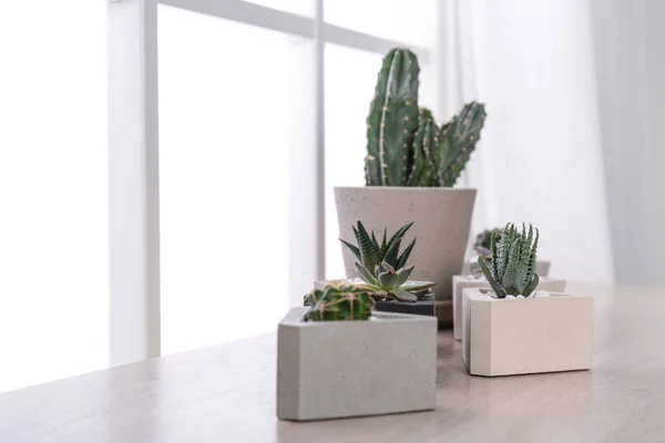 Plantas diferentes em vasos na soleira da janela, espaço para texto. Decoração de casa — Fotografia de Stock